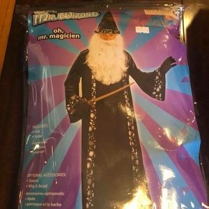 Adult wizard costume